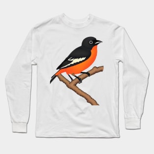 Vintage Orchard Oriole Bird Pumpkin Halloween Fall in Baltimore Long Sleeve T-Shirt